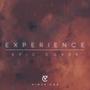 Experience (Epic Cover)