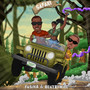 Safari