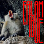 Falam Bué (feat. Pité)