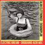 Electric Dream (Orgbjuro Acid Mix) (Ekranoplan Remix)