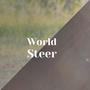 World Steer