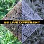 We Live Different (Explicit)