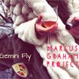 Marcus Graham Project (Explicit)