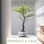 528 Hz Armonia a casa: Energia di guarigione positiva a per la tua casa e la tua anima, Musica di frequenza miracolosa, Purifica te stesso con l'energia