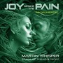Joy Beside the Pain (Instrumental)