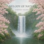 Melody Of Nature