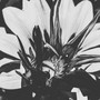 Love To Deep (Explicit)