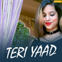 Teri Yaad - Single