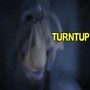 Turntup (feat. Jerzee) [Explicit]