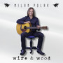 Wire & Wood (Acoustic)