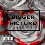 BIGGER PICTURE (feat. Vs1) [Explicit]