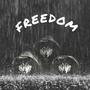 Freedom (feat. Finesser) [Explicit]