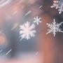 Winter Set (Explicit)