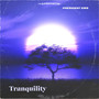 Tranquility (Explicit)