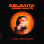 DELGAITA´COMO MAITE