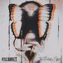 The Butterfly Effect (Explicit)