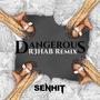 Dangerous (R3HAB Remix)