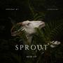 sprout (Explicit)