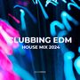 Clubbing EDM & House Mix 2024 (Dance Beats for Nightlife Lovers)