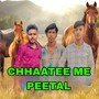 CHHAATEE ME PEETAL