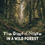 The Sound of Nature in a Wild Forest: Calming Melodies for Relaxation, Healing Music After Long Hard Day, Background Music for Relax Time