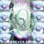 Forever Shine (Explicit)