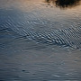 Ripples of Water