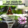 Zen musik för mindfulnessträning: Andlig uppvaknande, Lugnande naturljud för harmoni sinnen, Meditation och enkla stillhet