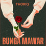 BUNGA MAWAR