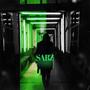 SABZ (feat. Erfan kalbod) [Explicit]