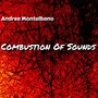 Combustion of Sounds