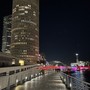 Looking for you in Tampa Bay