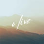 O Live