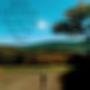 GOD'S COUNTRY (feat. King Popz) [Remix] [Explicit]