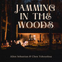 Jamming in the Woods (Live)