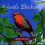 Gentle Birdsong