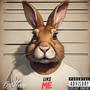 Like Me (Explicit)