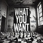 What You Want (Explicit)