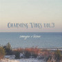Charming Vibes Vol. 3