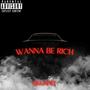 Wanna Be Rich (Explicit)