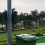 lush yangon green