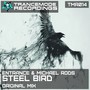 Steel Bird