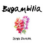 Bugambilia