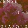 Sense The Seasons