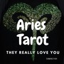 Aries Tarot - They Really Love You