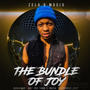 THE BUNDLE OF JOY