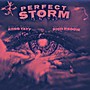 Perfect Storm (Explicit)