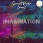 Imagination