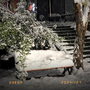 대설주의보 (Heavy Snowfall Advisory)