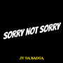 Sorry Not Sorry (Explicit)